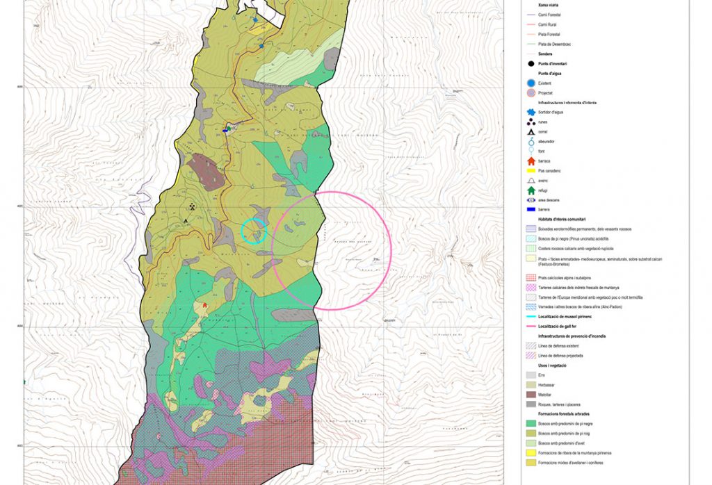 Gestió forestal - Mapa descriptiu